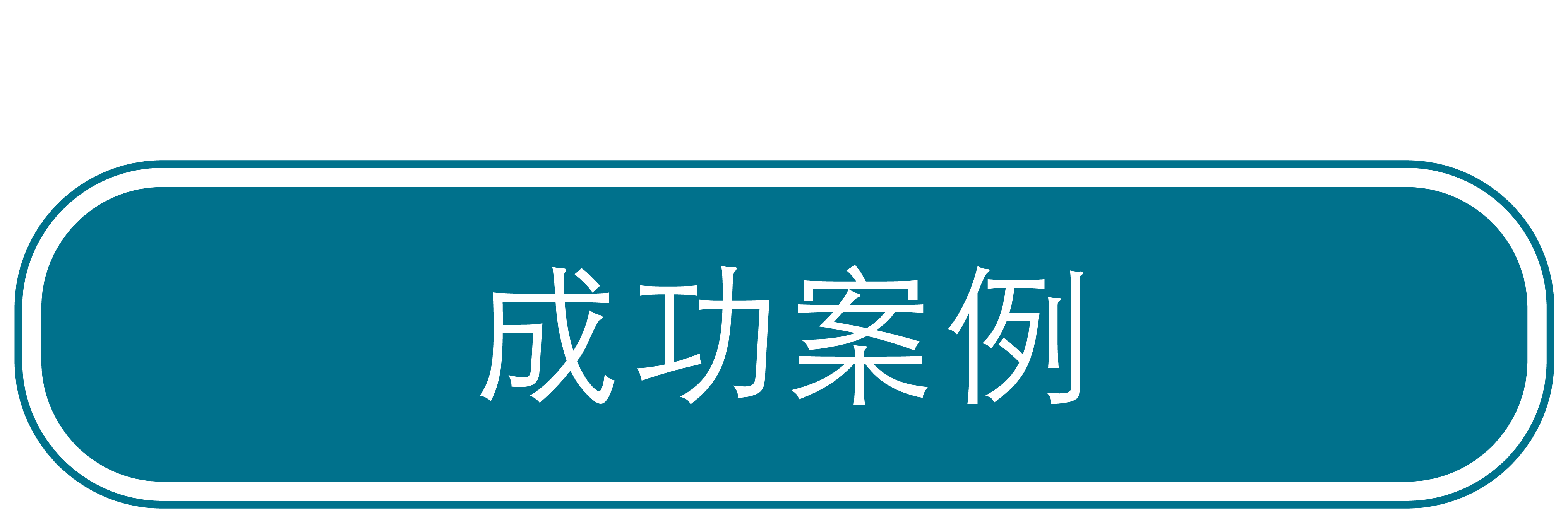 成功案例